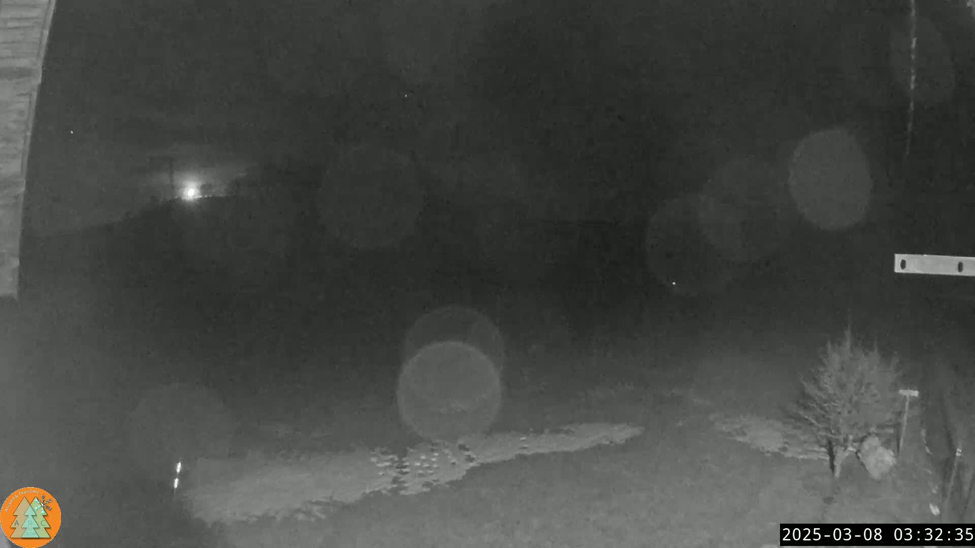 A nighttime, low-light image shows a snow-covered ground with a bush in the lower right corner, under a moonlit sky.