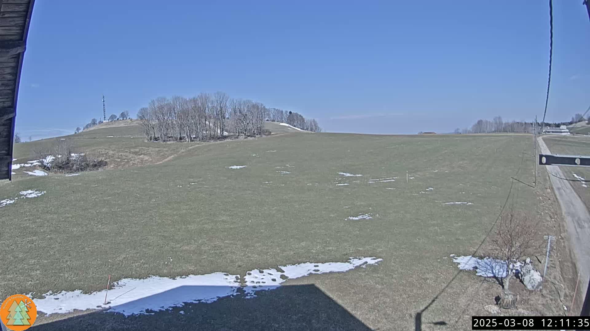 A sprawling grassy field with patches of snow under a clear blue sky, featuring a stand of leafless trees on a distant hill.