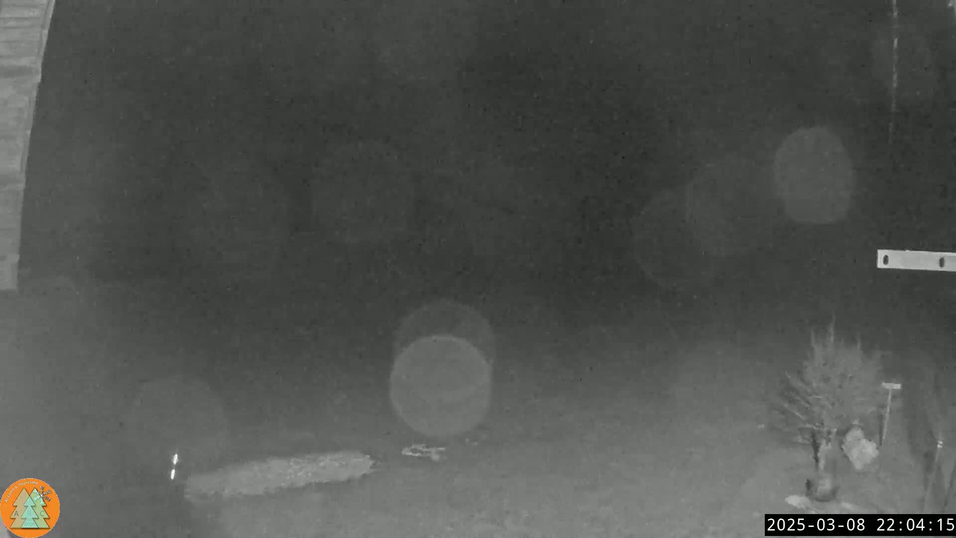 A nighttime, grainy black-and-white image shows a dark yard with a small plant in a pot near a wall, under a dark sky.