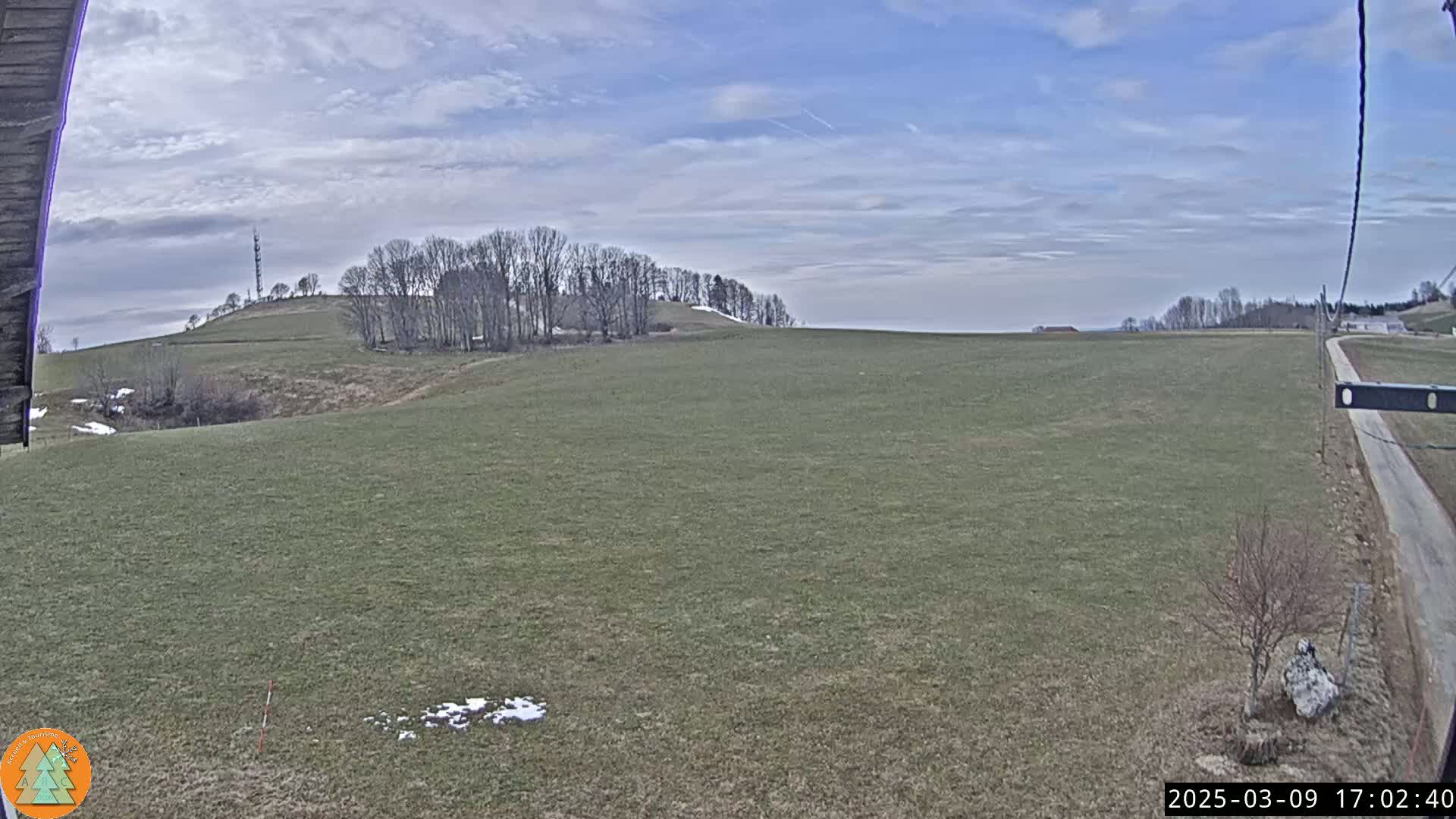 A wide, grassy field stretches out under a mostly cloudy, light blue sky, with a stand of bare trees on a hill in the mid-ground and a dirt road visible in the lower right corner.