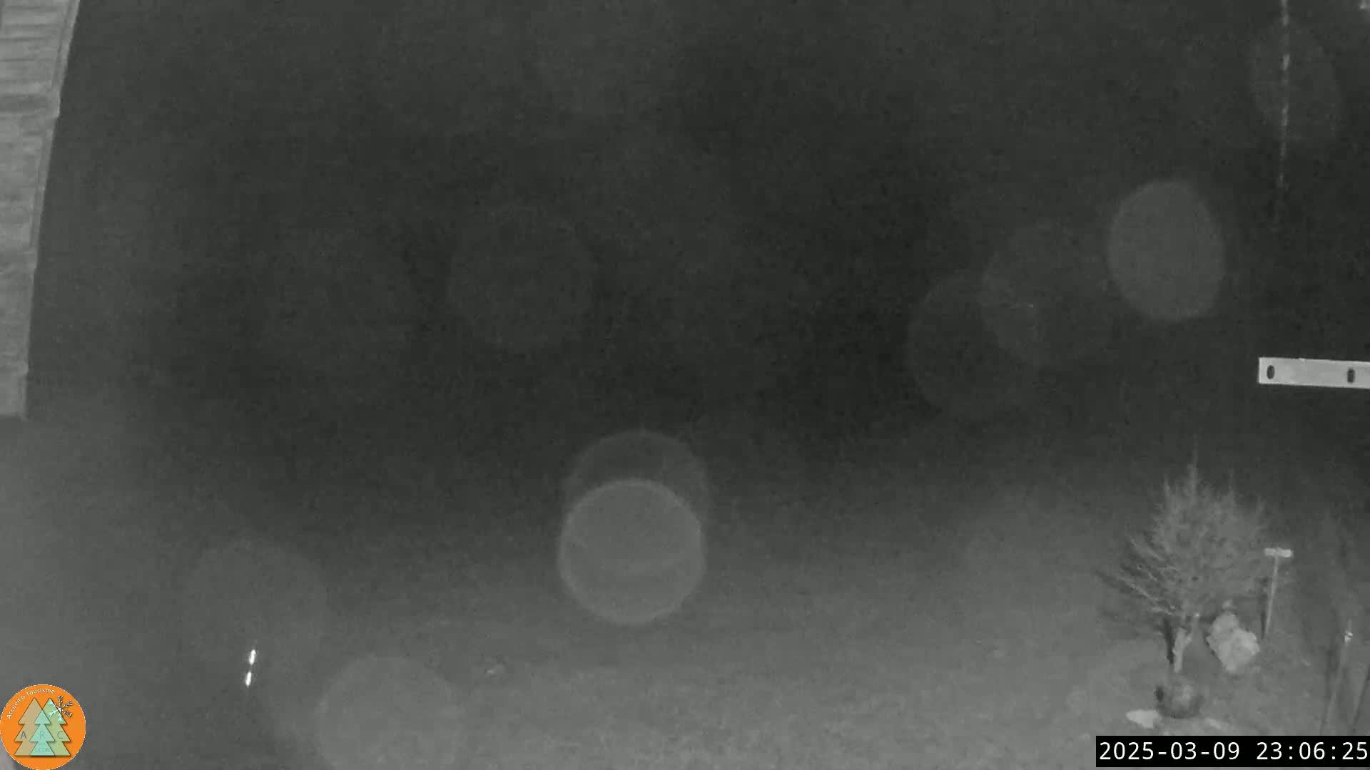 A nighttime, blurry, low-light outdoor scene shows a small tree and some indistinct shapes in the distance under a dark, possibly rainy sky.