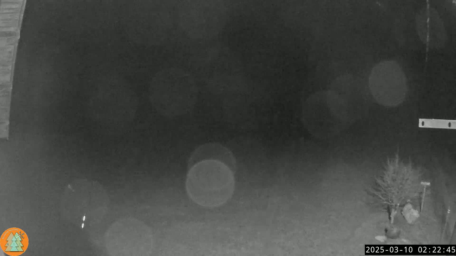 A nighttime, blurry, black-and-white security camera image shows a dark yard with a small tree and indistinct shapes in the background.