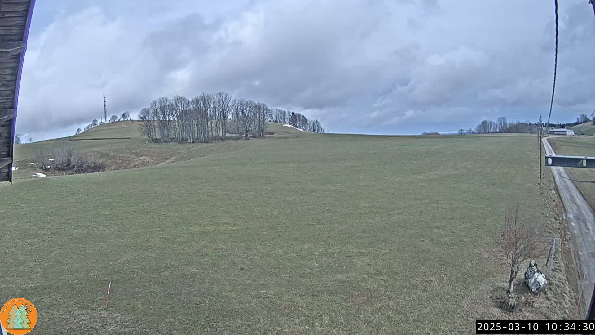 A wide, grassy field stretches towards a line of leafless trees on a hill under a cloudy sky.