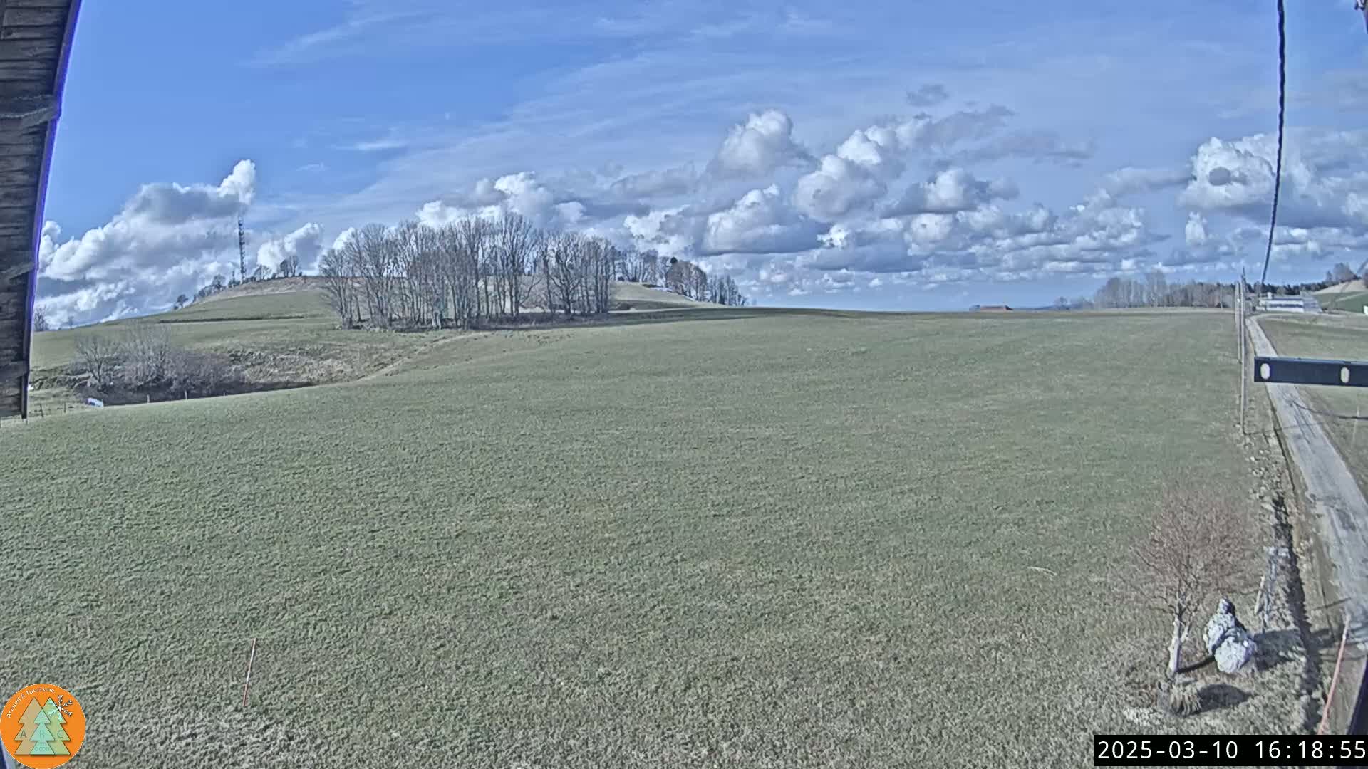 A partly cloudy blue sky overlooks a sprawling green field, with bare trees on a hill in the distance and a dirt road to the right.