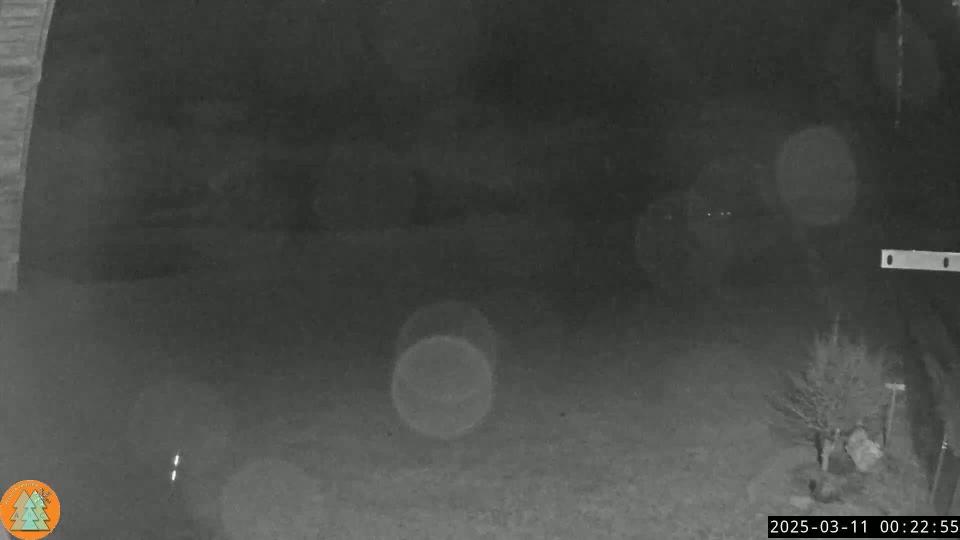 A nighttime, grainy black-and-white image shows a dark yard with a small bush, some blurry lights in the distance, and a portion of a wall or structure on the left.