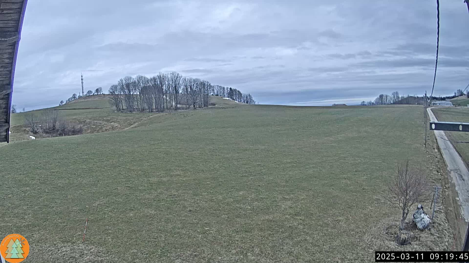 A wide, flat field of short, light-brown grass stretches to a distant hill with bare trees under a cloudy sky.