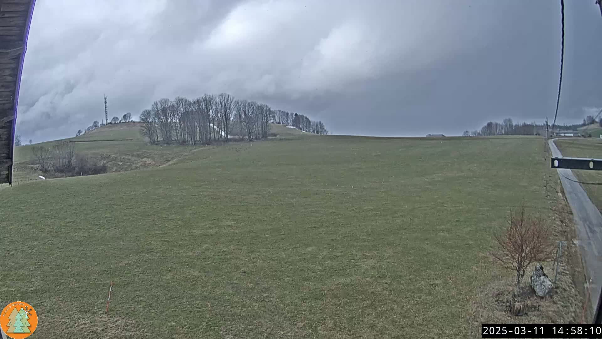 A wide, flat field stretches out under a cloudy sky, with a line of bare trees atop a distant hill.