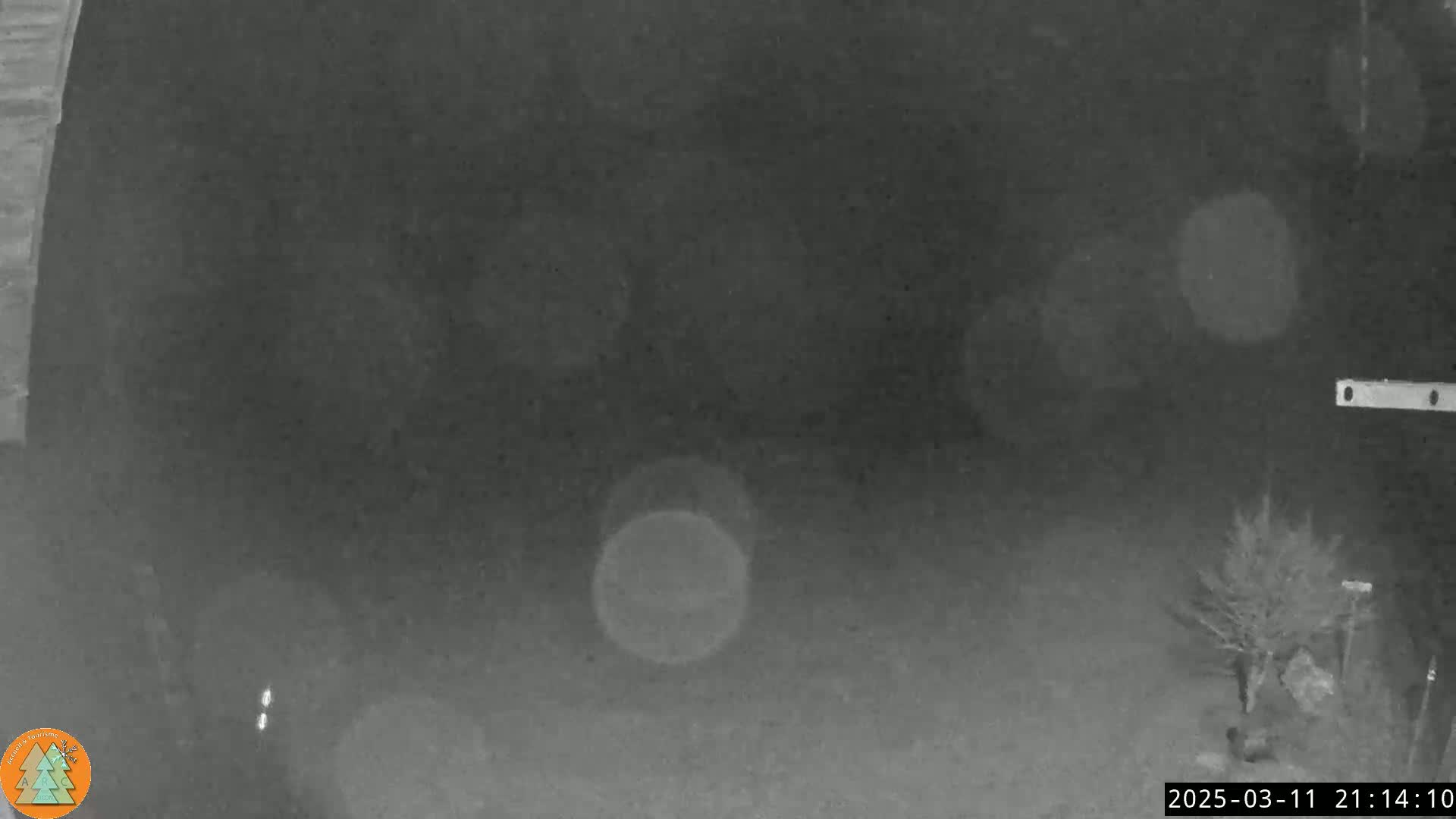 A nighttime, low-light outdoor scene shows blurry, indistinct shapes of vegetation and possibly a small structure in the distance under a dark, possibly snowy or hazy sky.