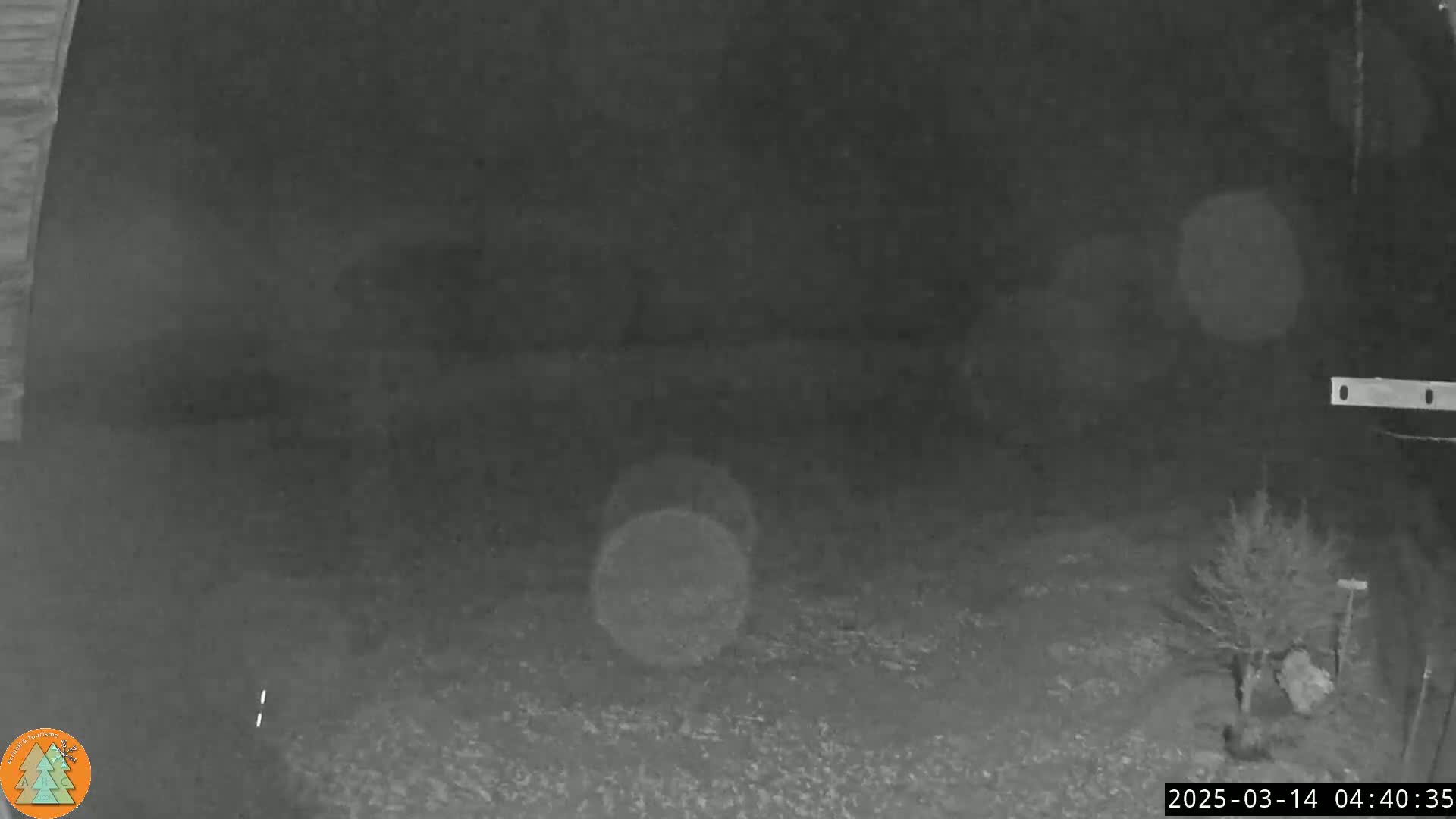A nighttime, low-light outdoor image shows a mostly dark yard with a small tree and blurry indistinct shapes in the distance.