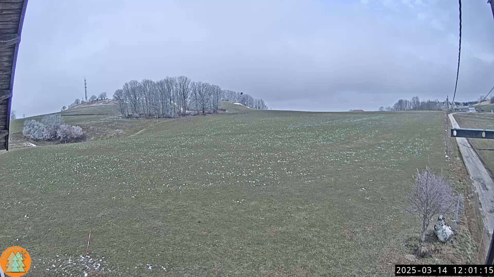 A wide, flat field dotted with small white flowers stretches to a line of bare trees on a hill under an overcast sky.