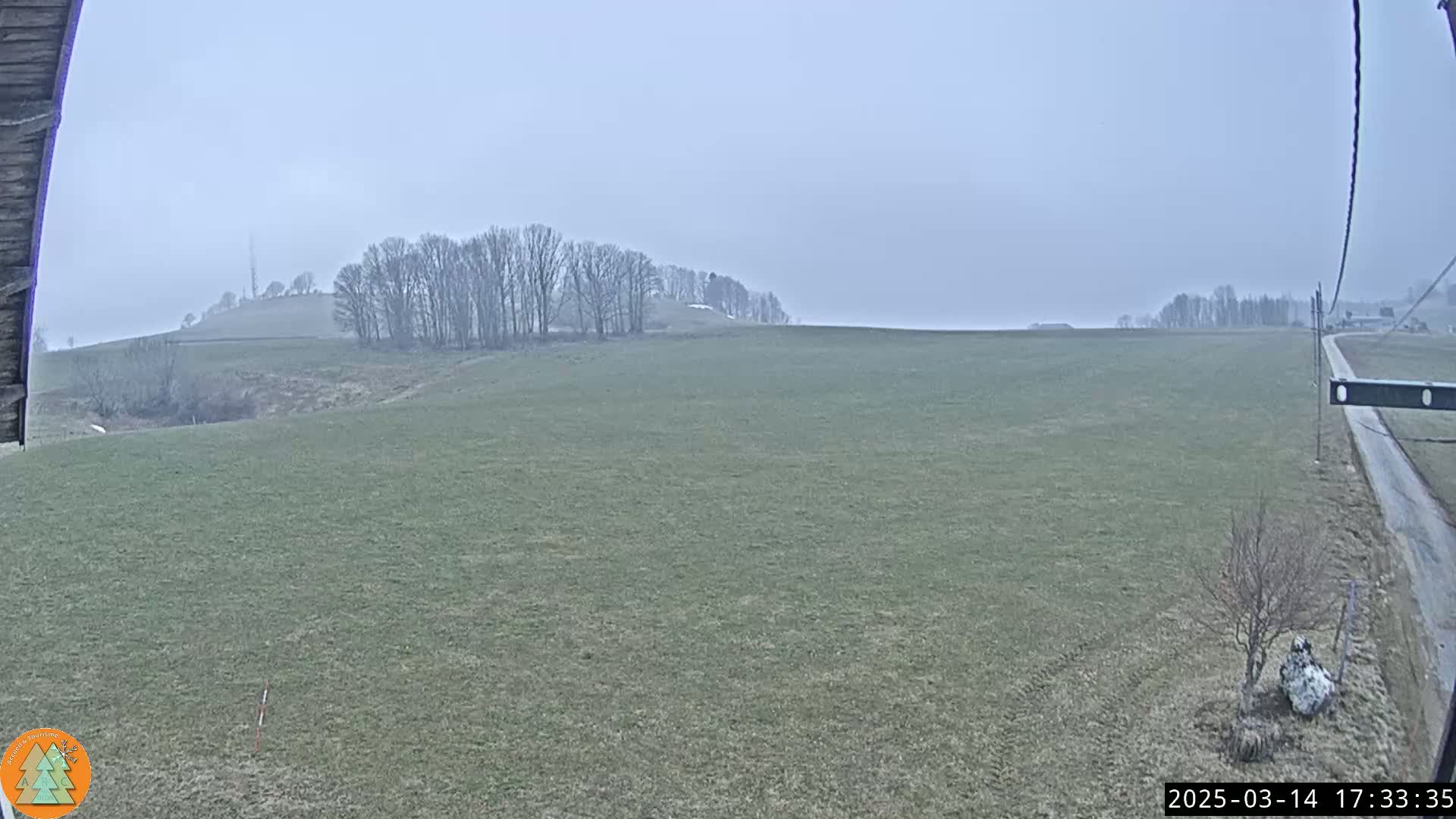 A wide, flat expanse of short, light-green grass stretches towards a line of leafless trees on a hill under an overcast sky.