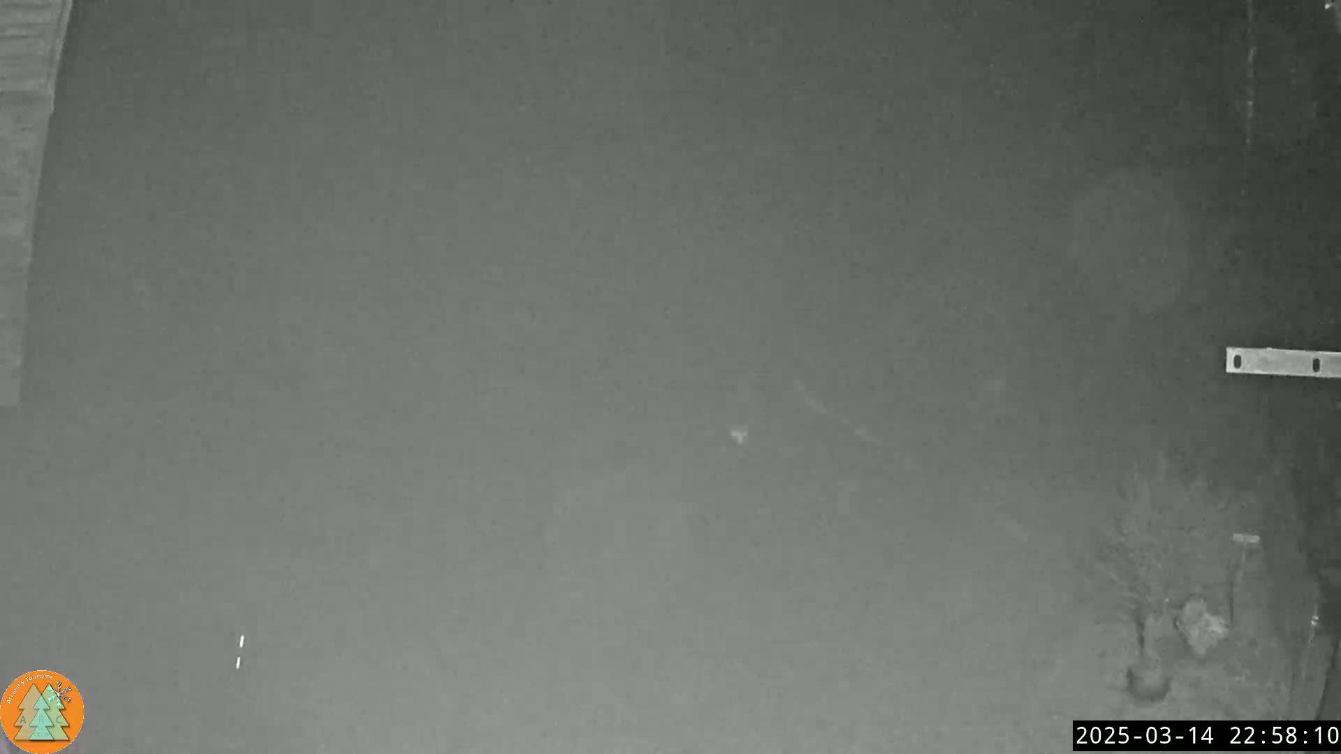 A low-light grayscale image shows a dark, possibly paved, surface at night.