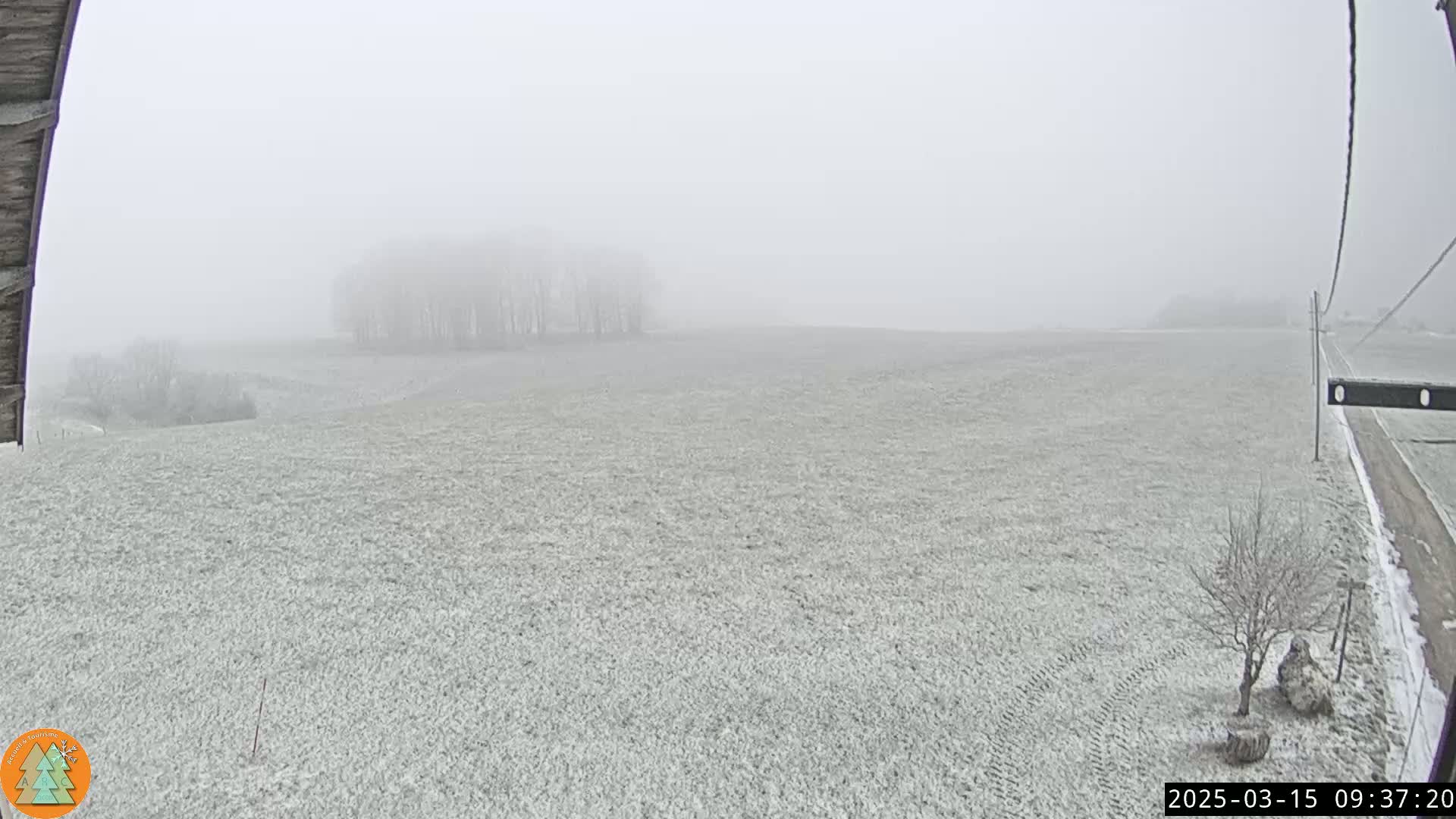 A snow-covered field stretches to a line of trees shrouded in dense fog.