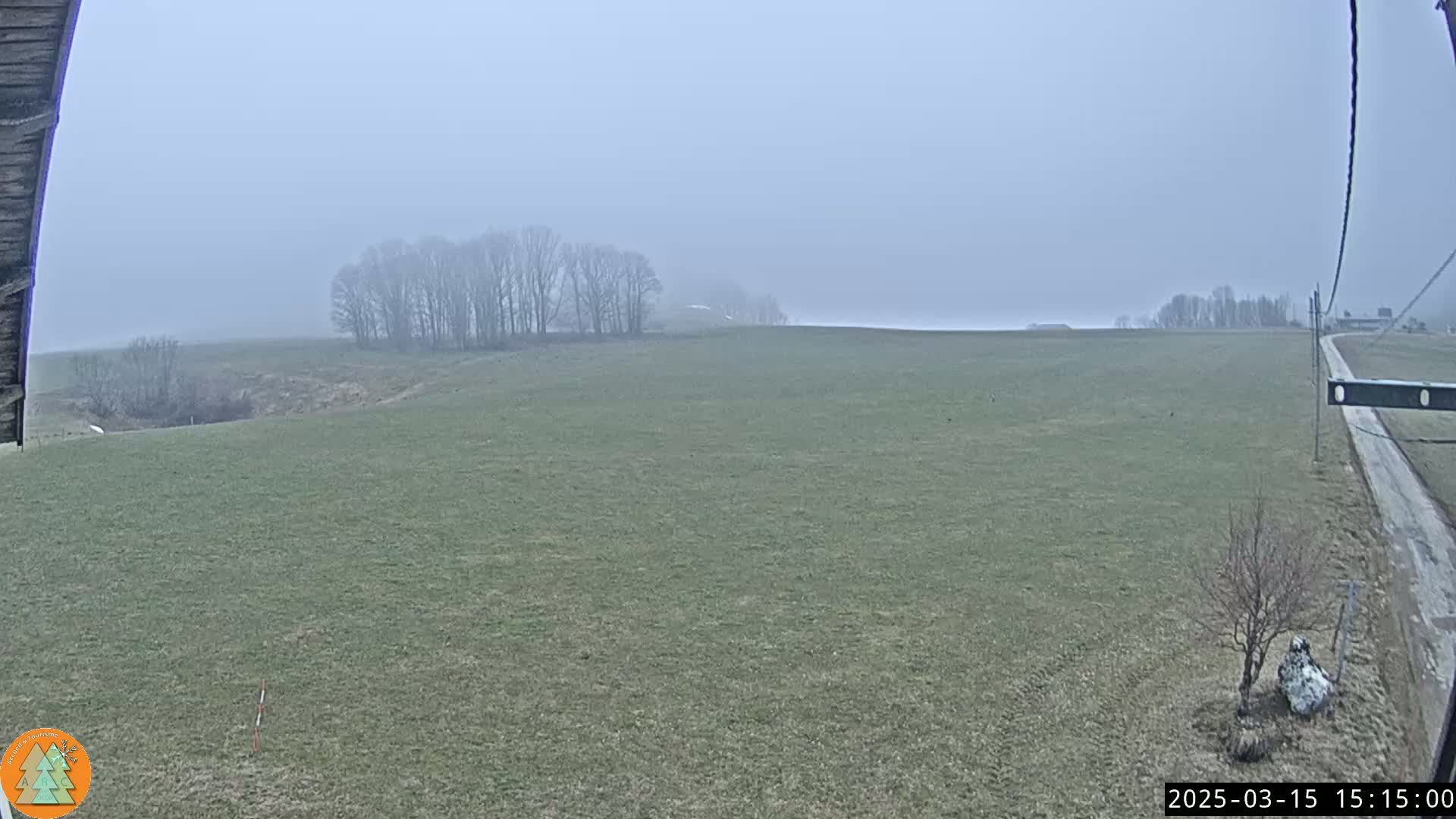 A foggy, expansive grassy field stretches out to a line of leafless trees in the distance, with a dirt road visible on the right.