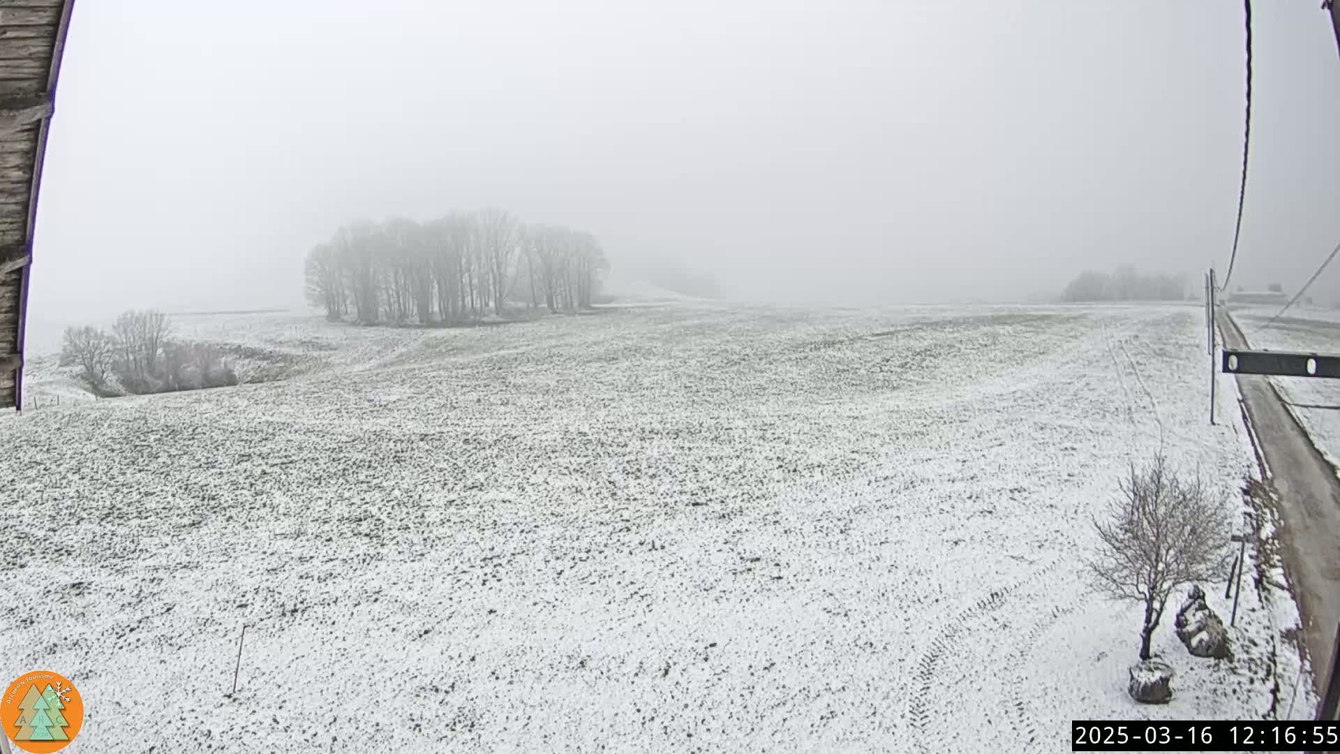 A snow-covered field stretches to a line of trees under a foggy sky.