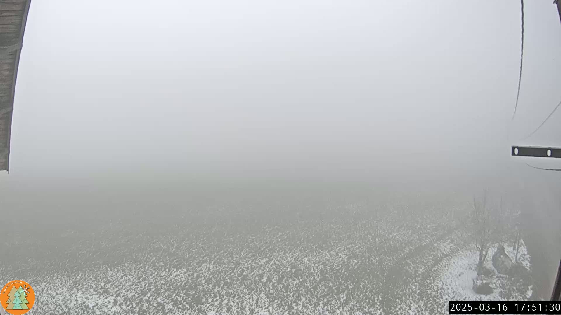 A snow-covered field is visible through a thick fog.