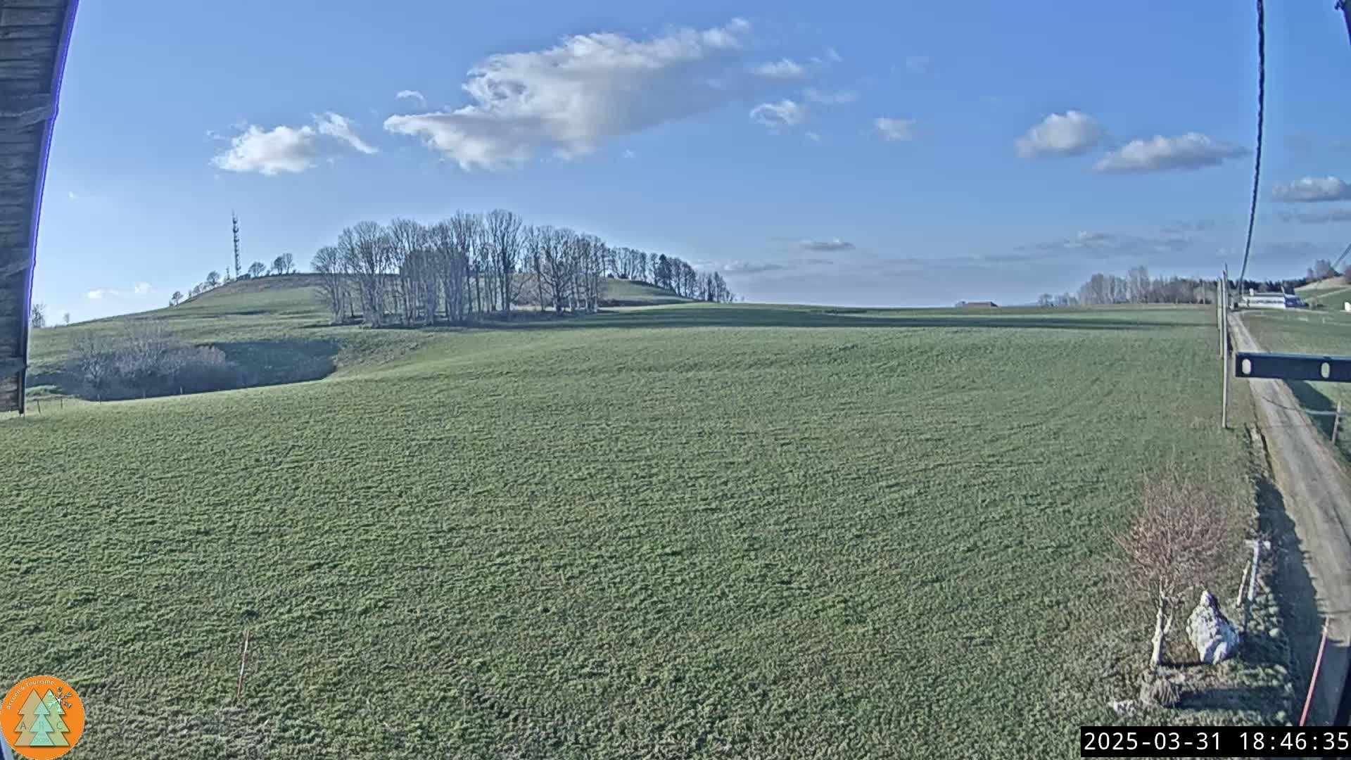 A vast, flat green field stretches to a gently rolling hill dotted with bare trees under a mostly sunny sky with scattered clouds.
