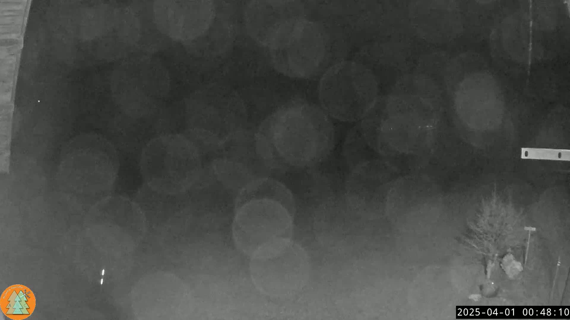 A blurry, nighttime outdoor image shows a dark area with out-of-focus circular lights and a small tree to the lower right.