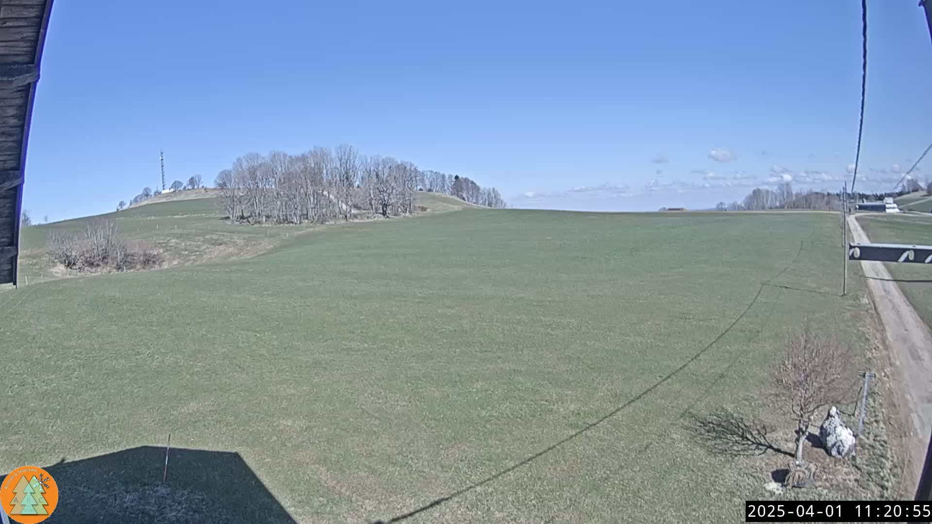 A wide, grassy field stretches out under a clear blue sky, with a line of bare trees on a distant hill.