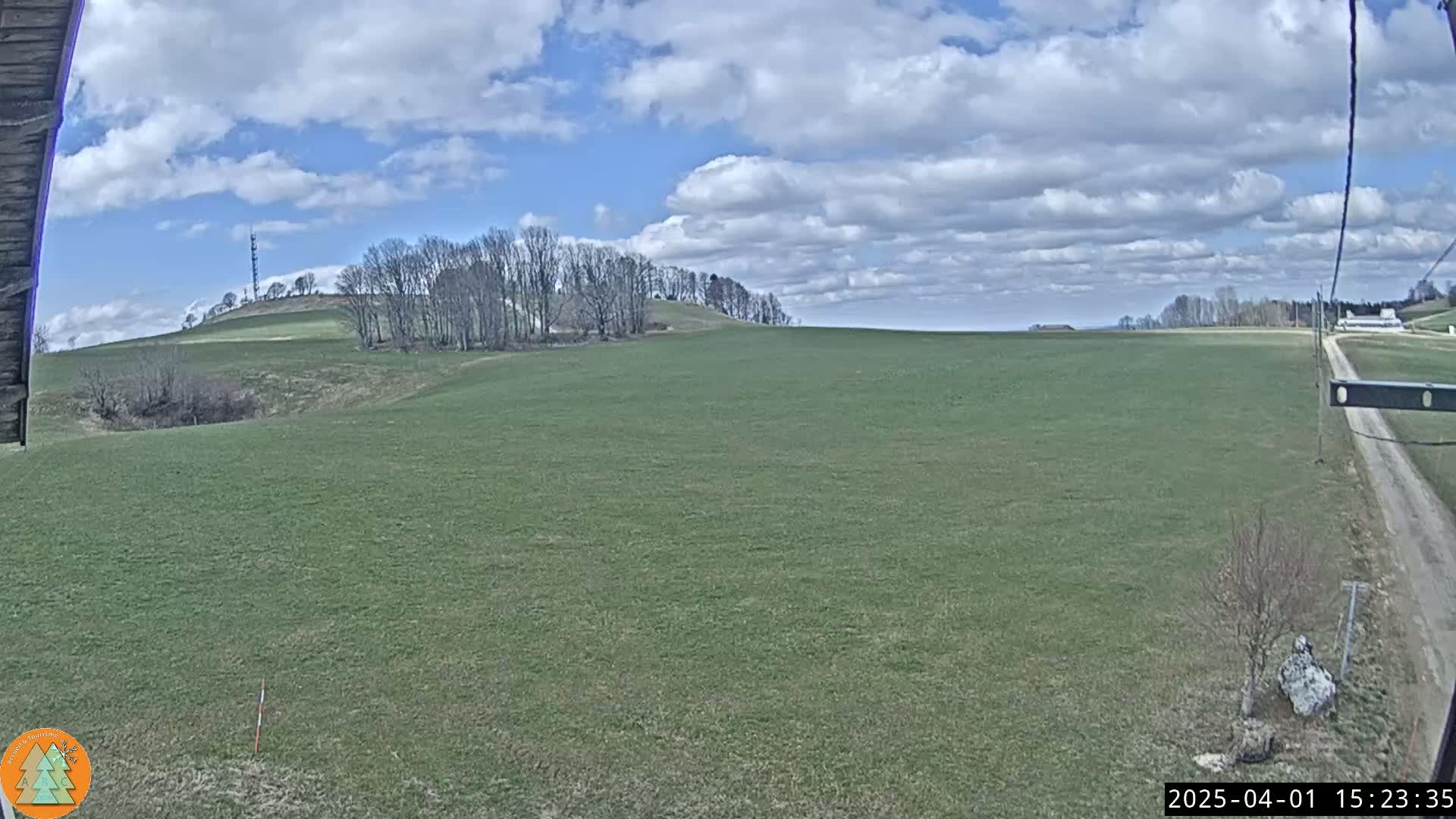 A wide, grassy field stretches out under a partly cloudy sky, with a line of bare trees on a distant hill.