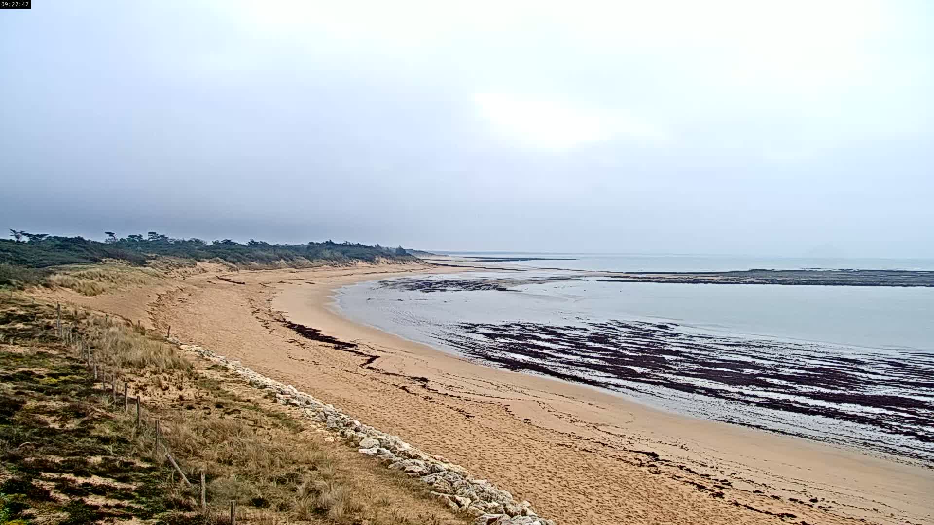 A sandy beach curves gently along a calm, overcast ocean, with dark seaweed patterns visible in the shallows and a line of trees visible in the distance.