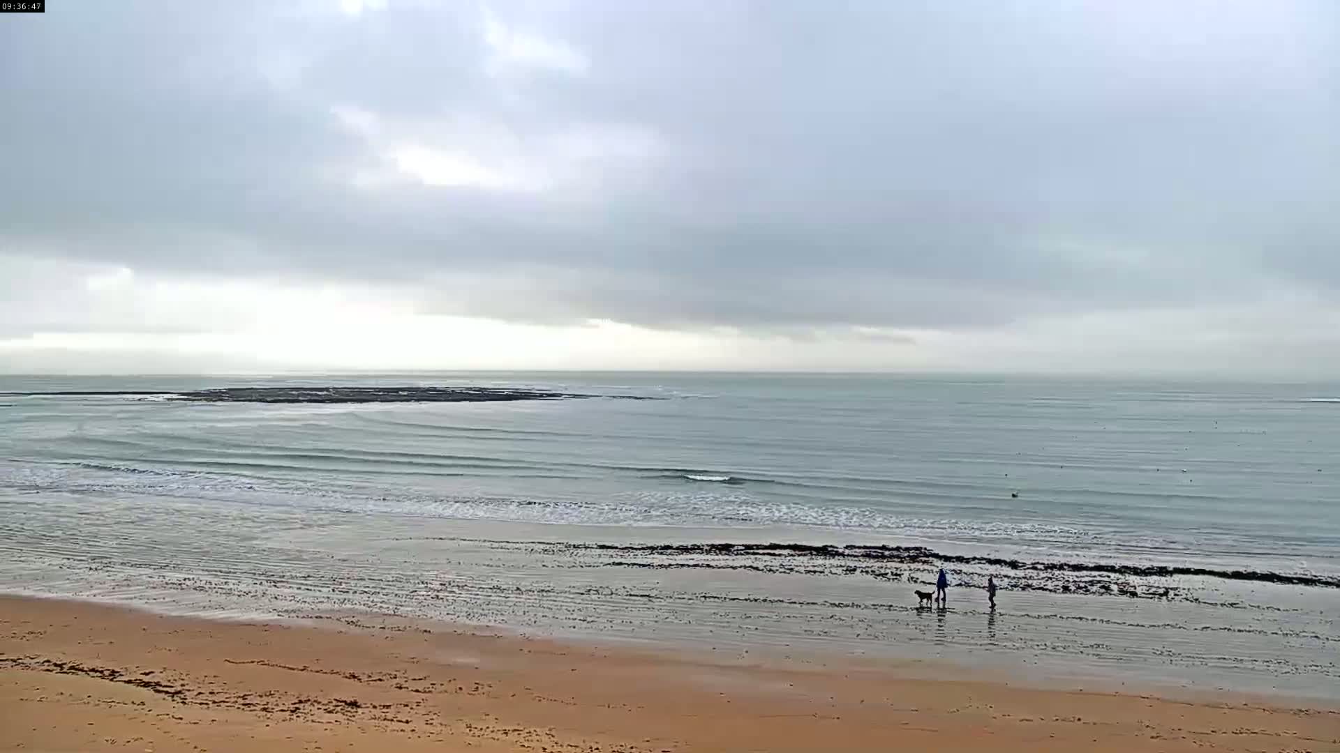 A sandy beach stretches out to a calm, gray ocean under a cloudy sky, with two people and a dog walking near the water's edge.