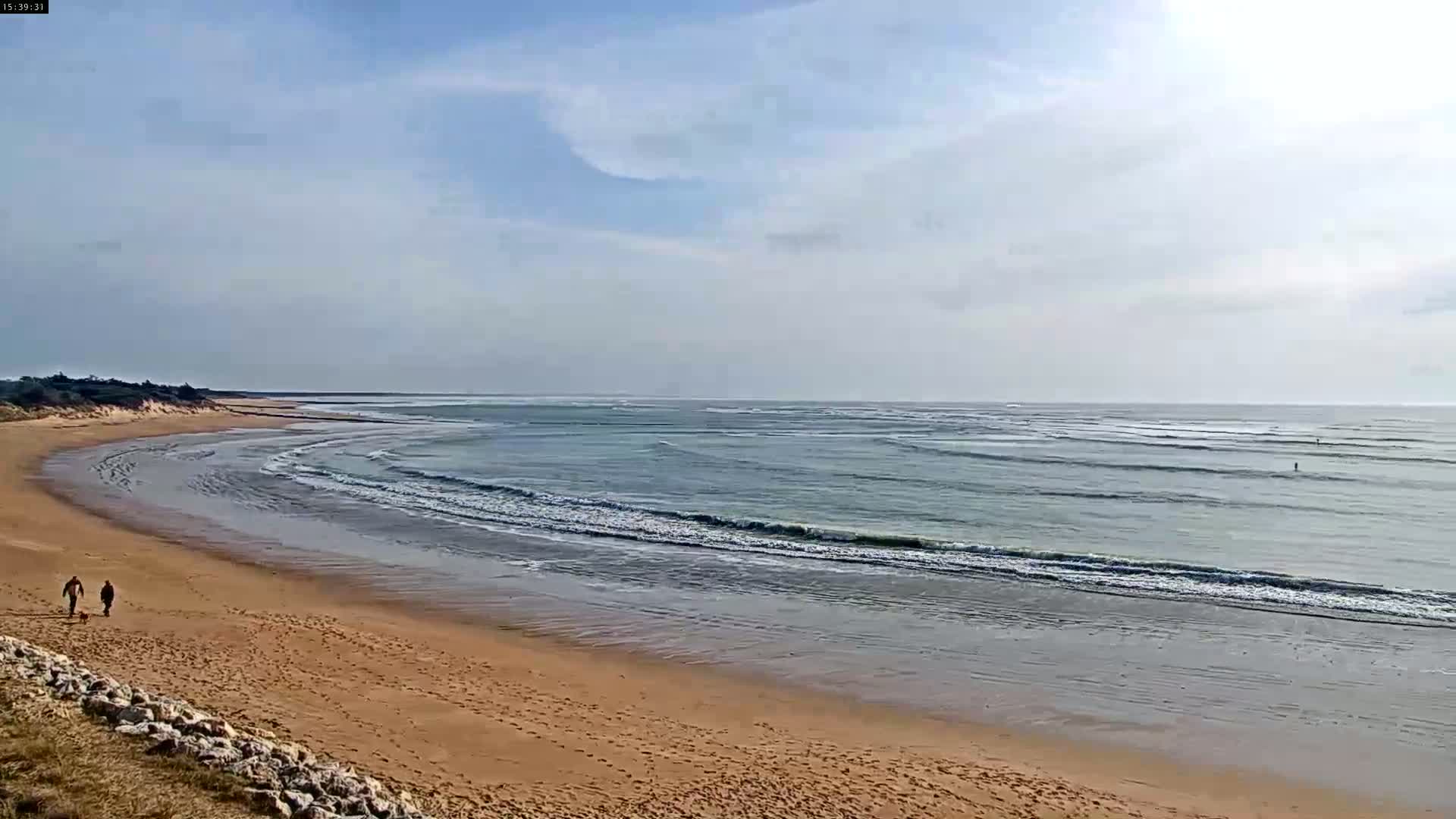 Two people walk a dog on a sandy beach under a mostly clear sky, with gentle waves rolling into shore.