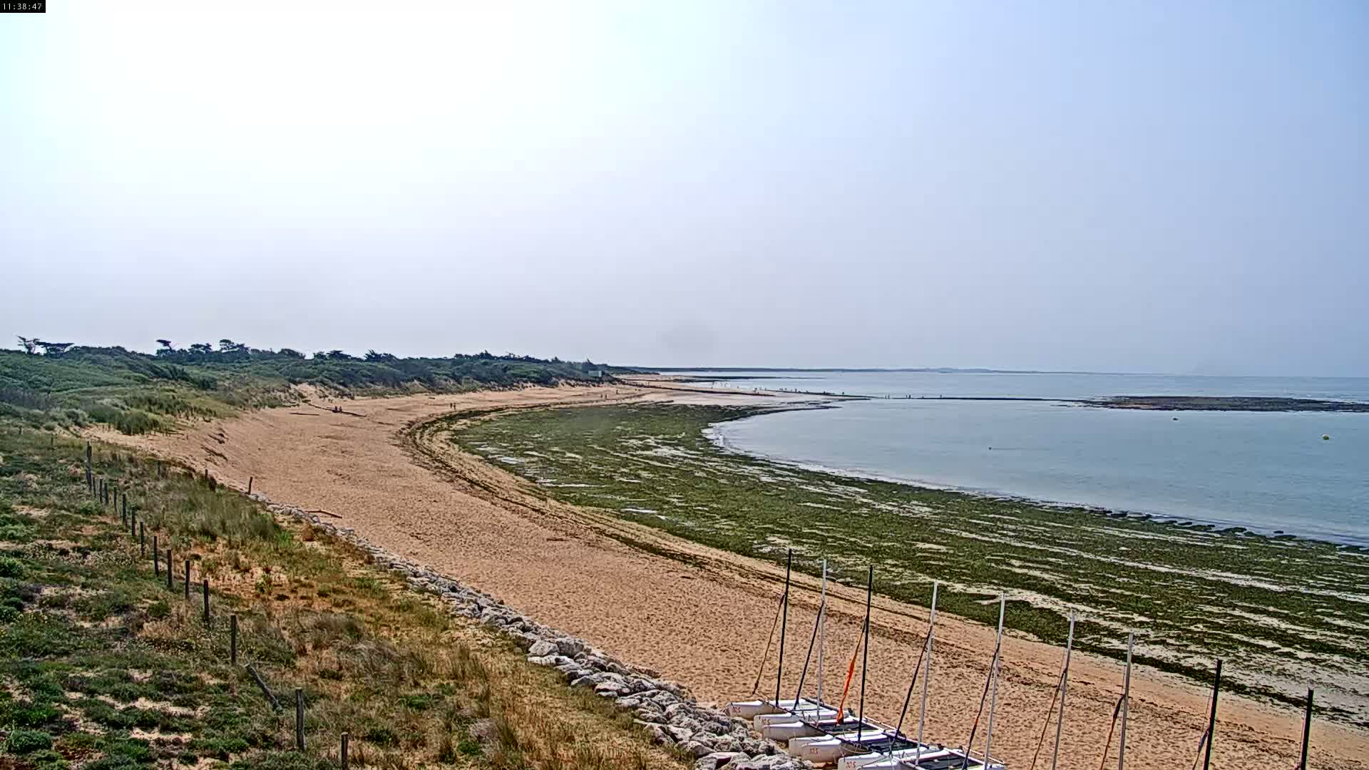 A sandy beach curves along a calm, light-blue sea under a clear, bright sky, with several small sailboats beached near the shore and green seaweed visible in the shallows.