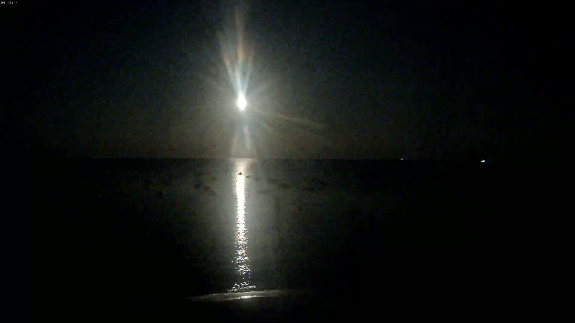 Plage de La Perroche , La Cotiniere- Rochefort, Charente-Maritime, Nouvelle-Aquitaine, France