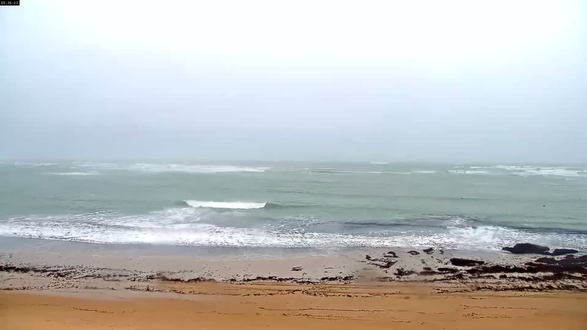 Plage de La Perroche , La Cotiniere- Rochefort, Charente-Maritime, Nouvelle-Aquitaine, France