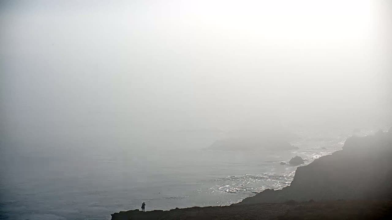 A person stands on a foggy cliff overlooking a misty ocean.