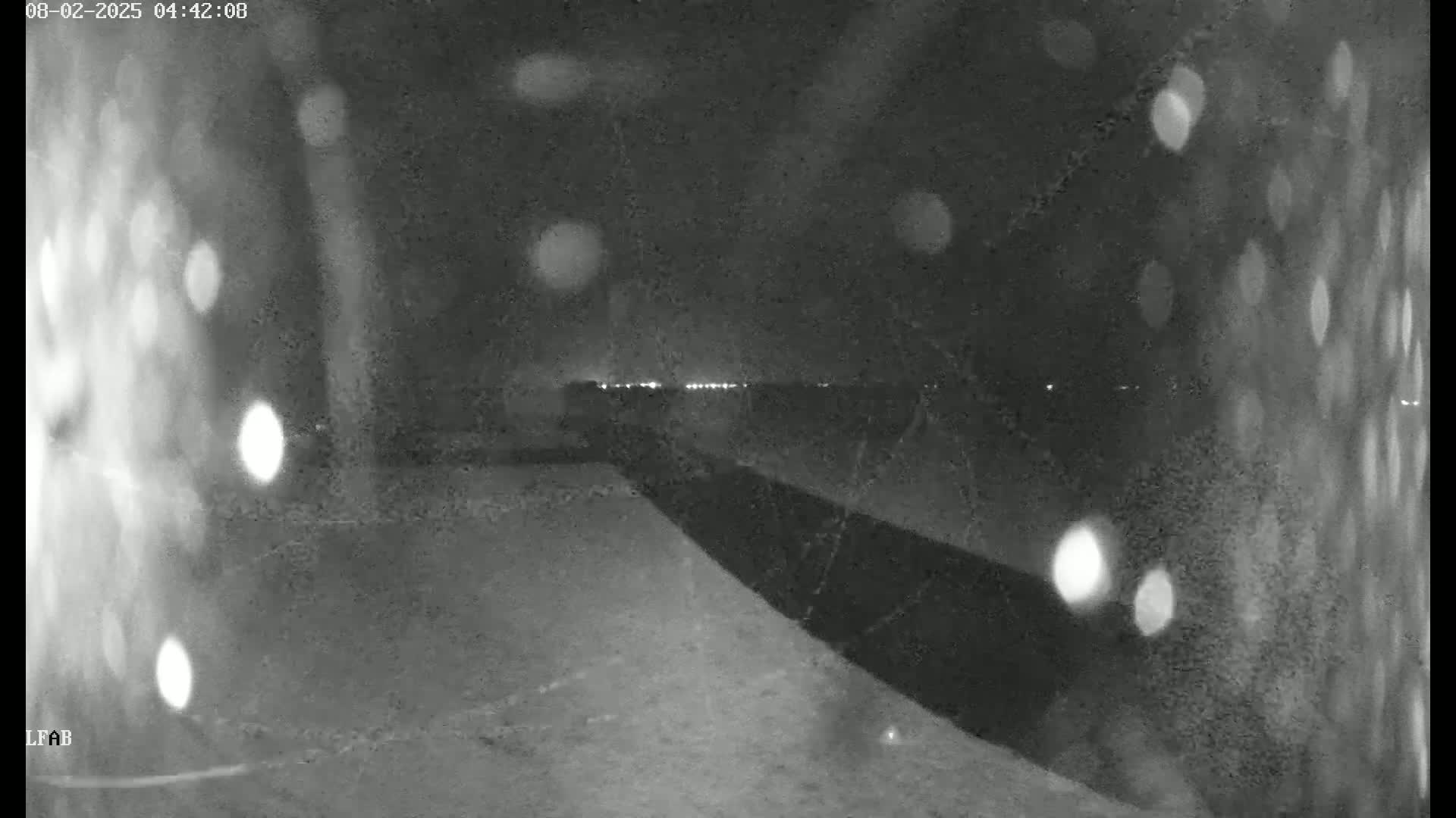 A nighttime, snowy scene shows a dark, sloped surface leading to a distant line of lights under a dark sky speckled with blurry white spots.