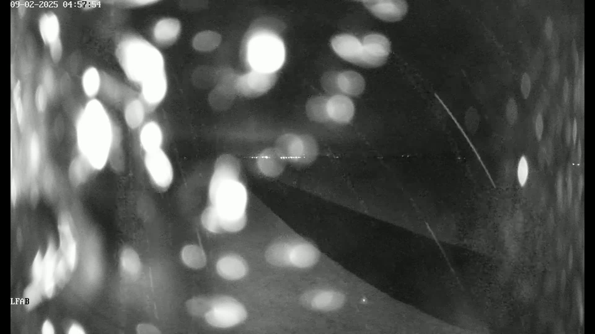 A blurry nighttime view shows a dark road with distant lights and some light precipitation visible on a dark surface.