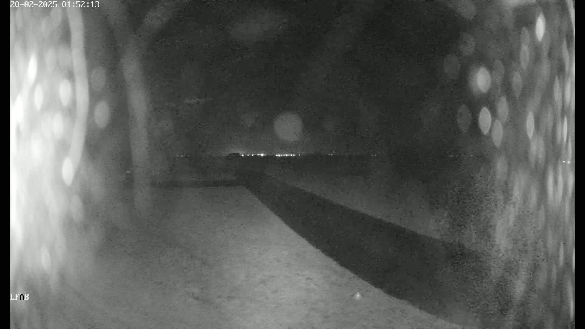 A nighttime view shows a dark road extending toward a faintly lit horizon under a dark, possibly cloudy sky.