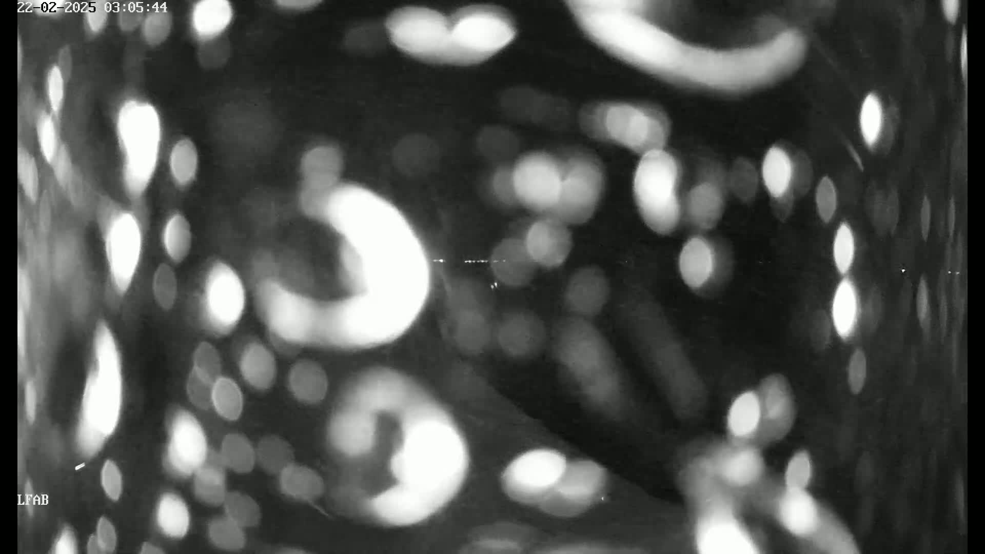 A blurry, out-of-focus grayscale image shows numerous bright, circular lights against a dark background at night.