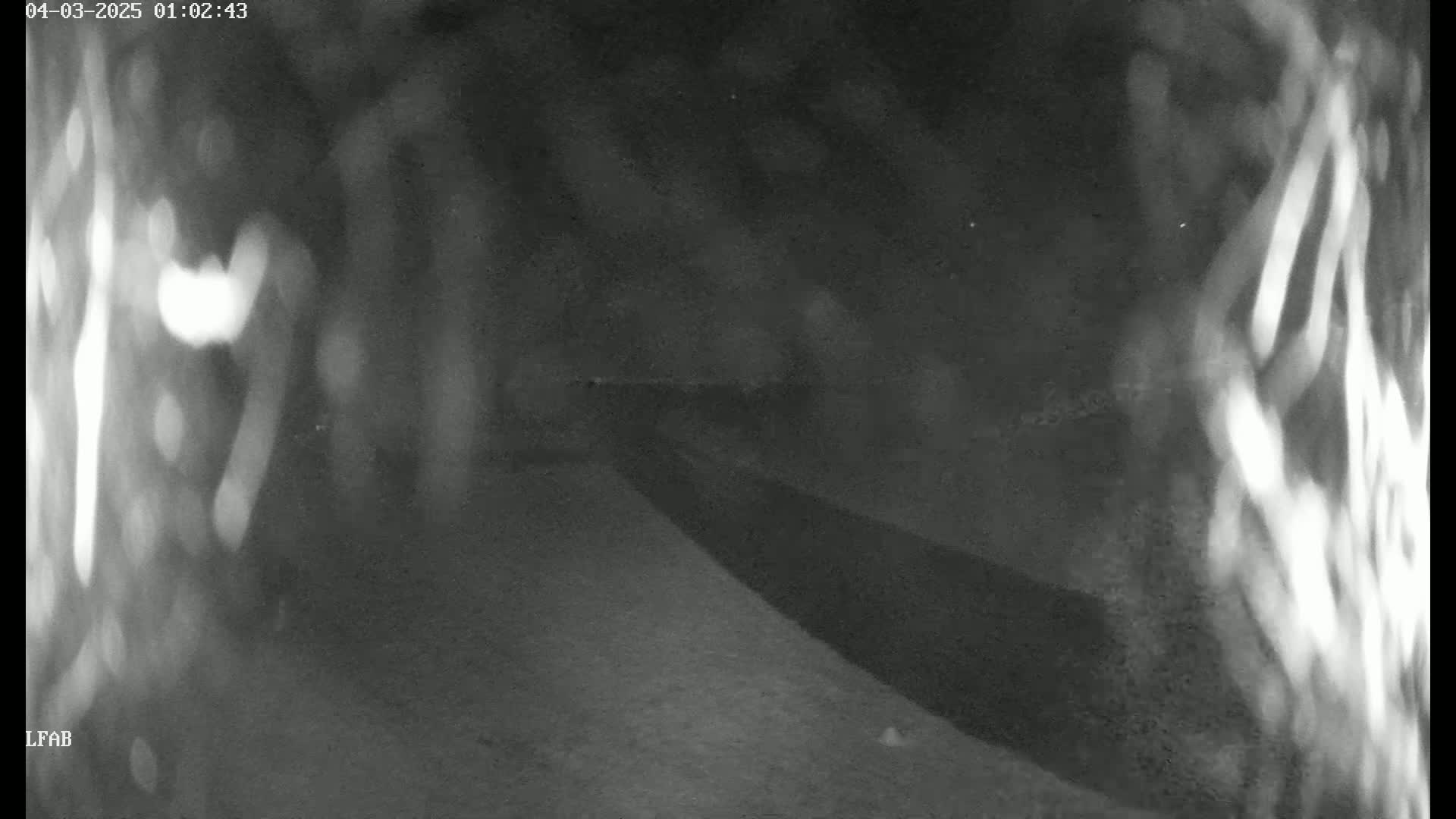 A blurry nighttime image shows a dark, paved area extending from the bottom right to the center, bordered on either side by indistinct, light-colored vertical shapes.