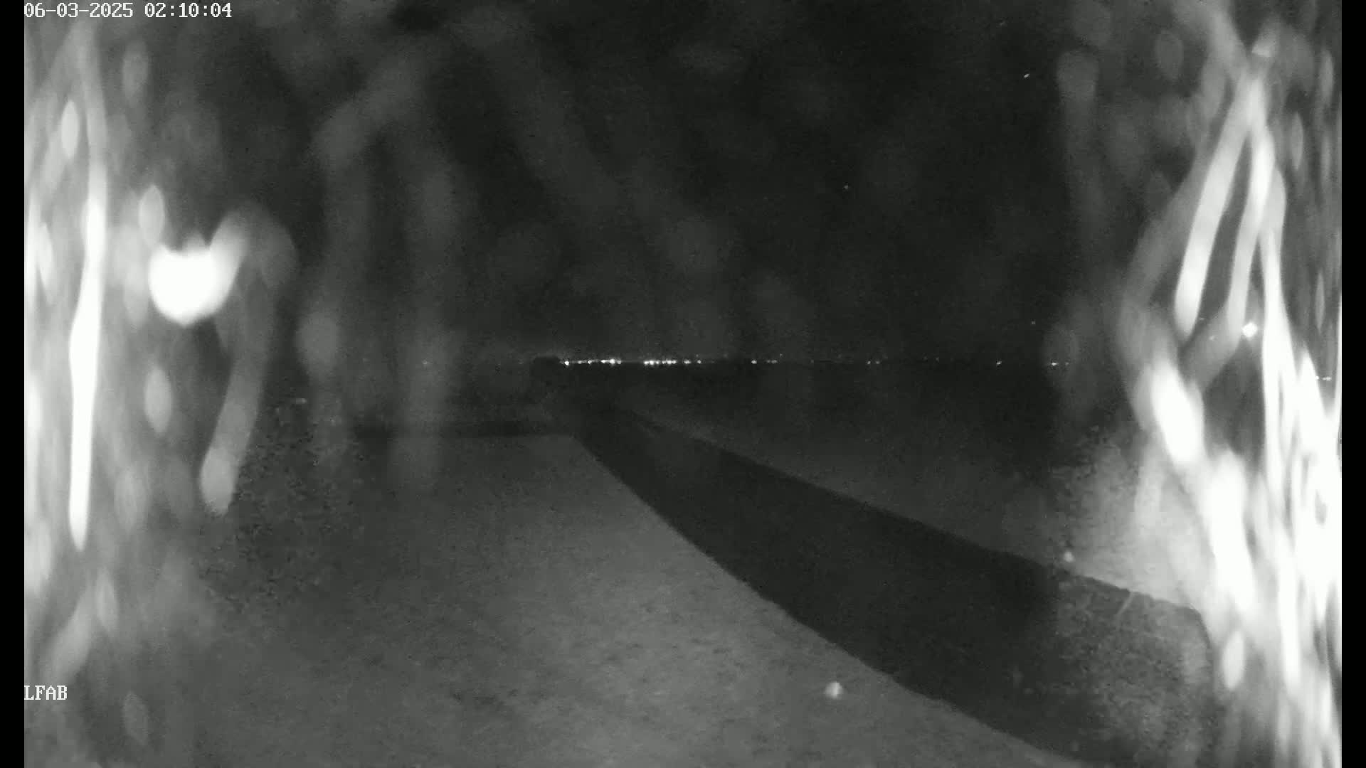 A nighttime, blurry, low-light view shows a dark road or path leading towards a distant line of lights under a dark, possibly overcast sky.