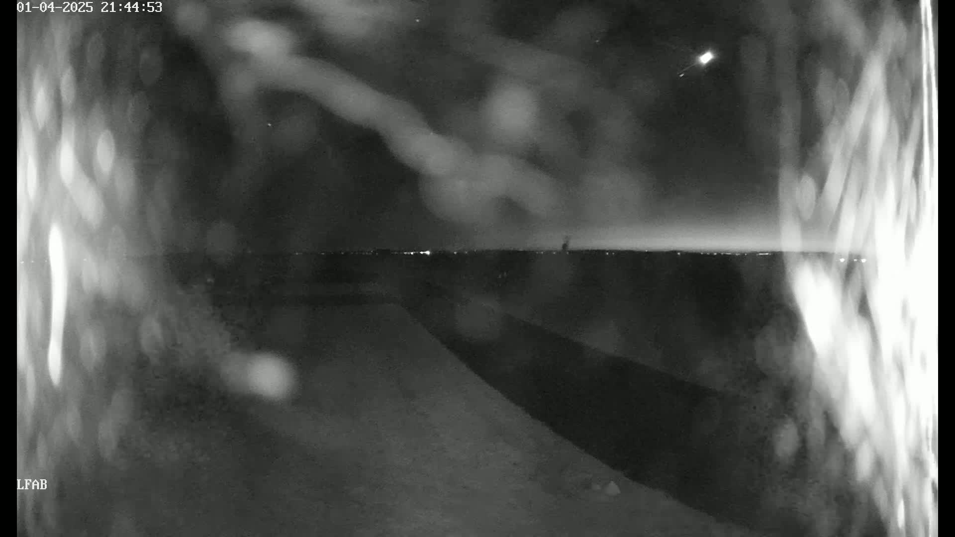 A nighttime, blurry, outdoor image shows a meteor streaking across the sky above a dark, flat landscape with a faint horizon line showing distant lights.