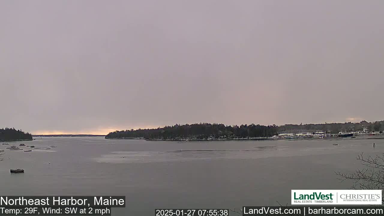 A calm, overcast harbor scene with a slight southwest wind shows a partially frozen body of water, surrounded by snow-dusted trees and a small town in the background.