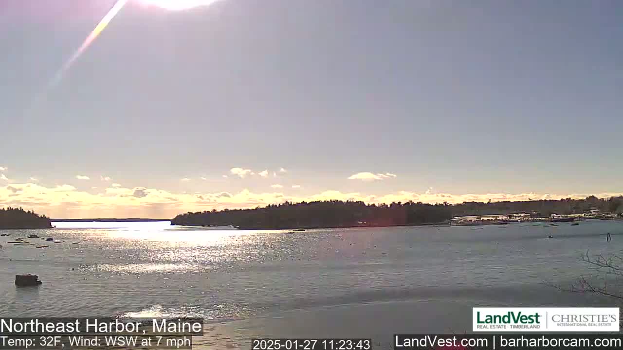 A calm harbor with a tree-lined shore is seen under a mostly sunny sky with a few clouds.