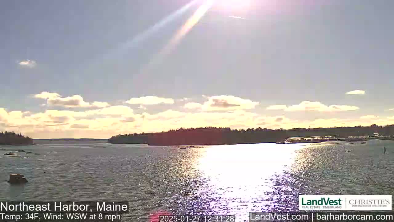 A mostly sunny day with some scattered clouds and a light wind shows a view of a calm harbor with trees lining the shore.
