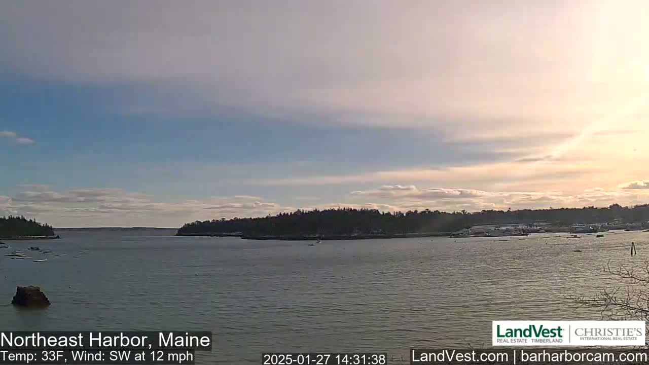 A calm harbor with a mostly clear sky and light wind shows a partly sunny day, with dark evergreen trees lining the shore and several boats at anchor.
