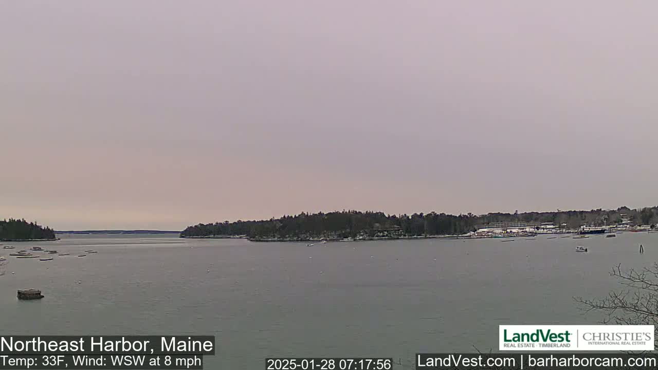 A calm harbor with snow-dusted trees on either shore under a pale, overcast sky.