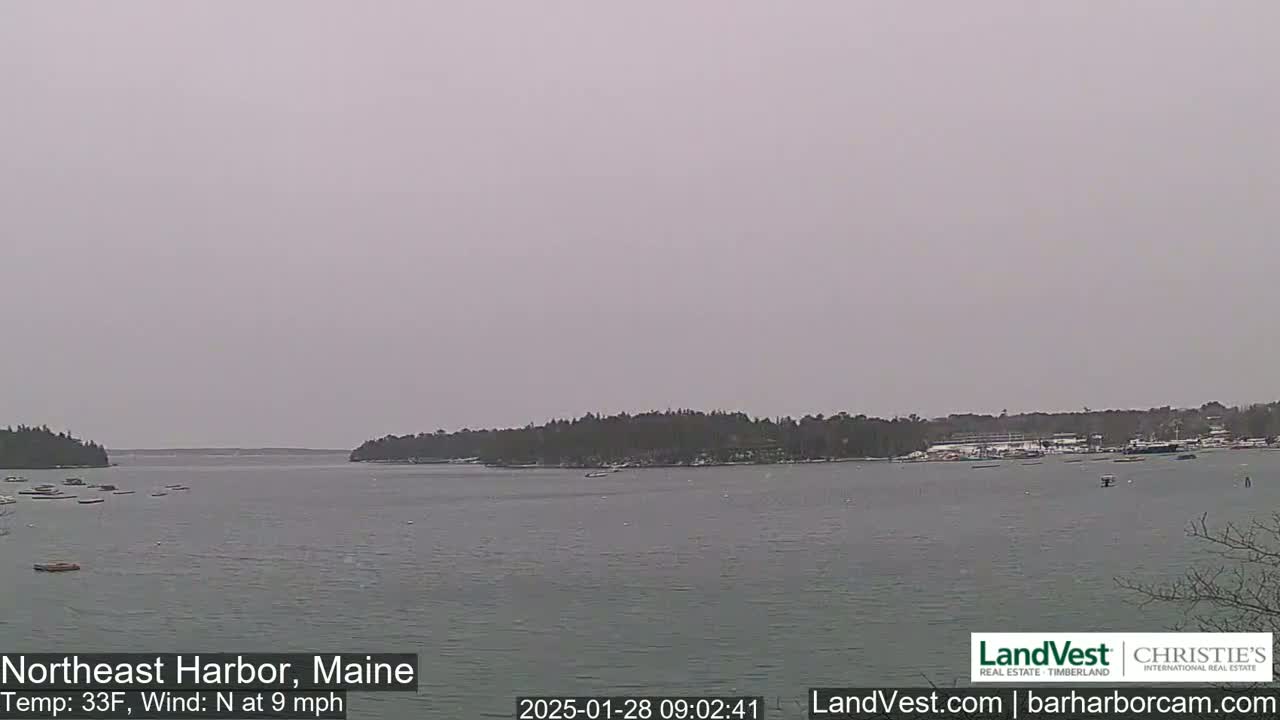 A calm harbor with several boats is seen under an overcast sky.