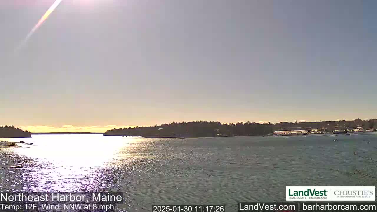 A calm body of water reflects the sunlight under a clear, light-blue sky, with trees lining the shoreline in the background.