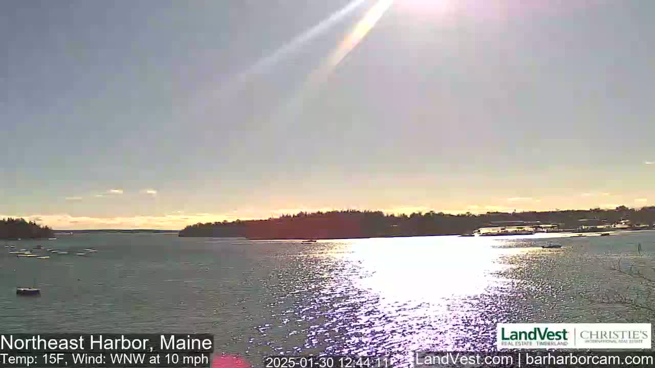 A calm body of water reflects sunlight under a mostly clear sky, with a shoreline of trees and buildings in the distance.