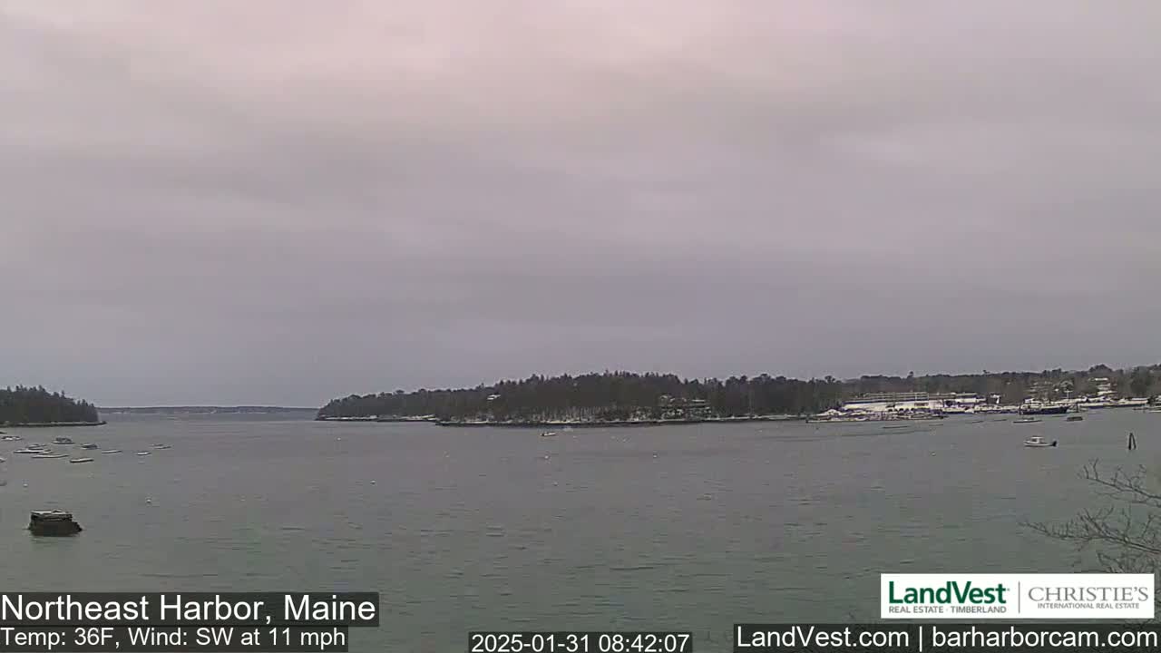 A calm harbor is seen under an overcast sky, with a light southwest wind and a temperature of 36 degrees Fahrenheit.