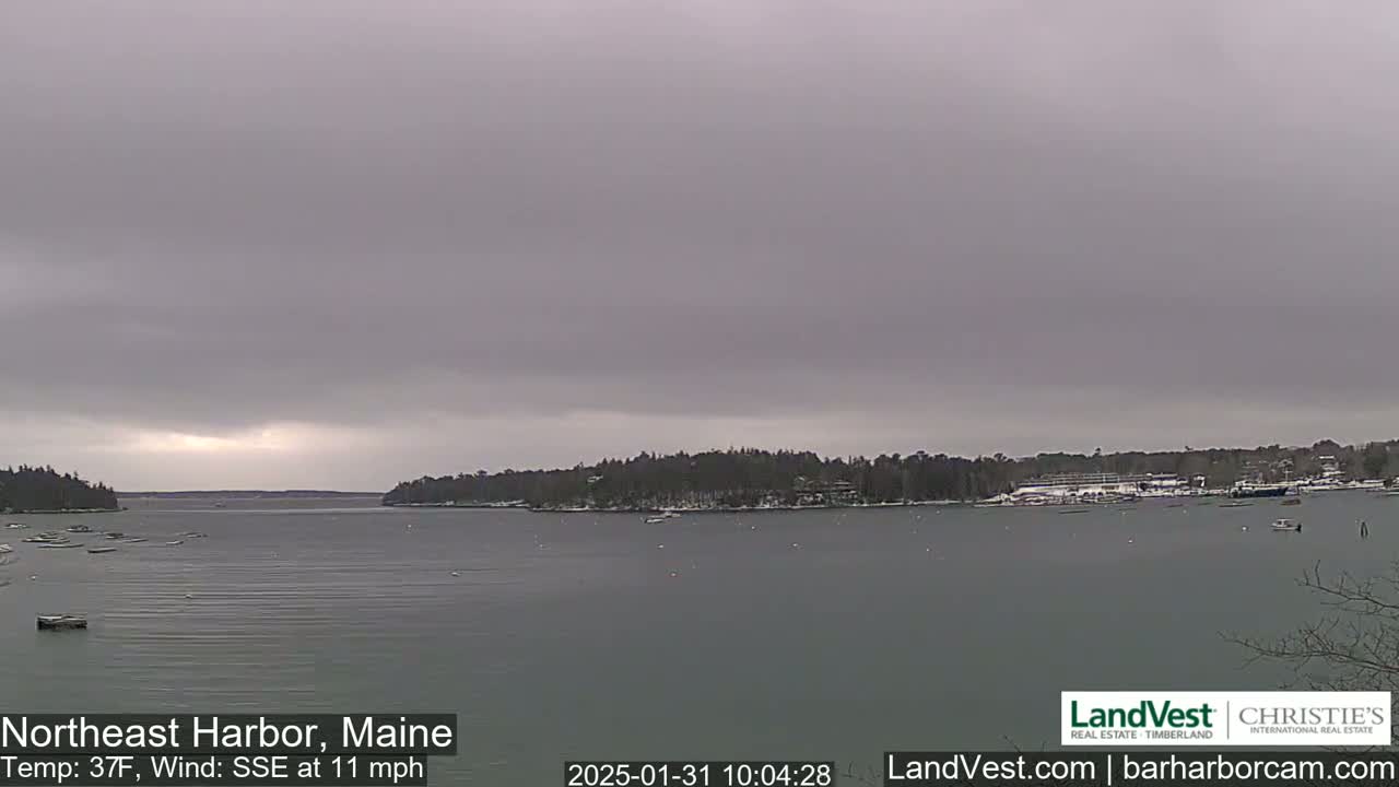 A calm harbor with a partly cloudy, overcast sky, under a 37°F temperature and 11 mph wind from the SSE.