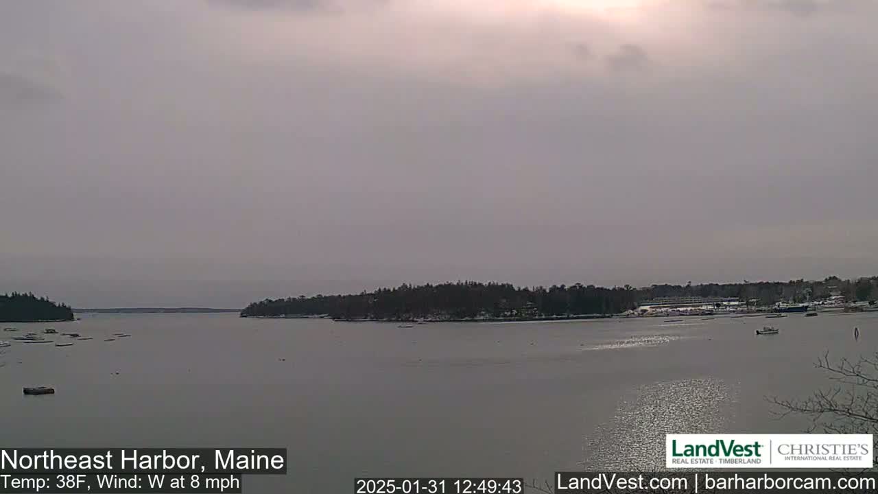 A calm, overcast harbor scene shows a body of water with a shoreline of snow-dusted trees and buildings under a pale gray sky.