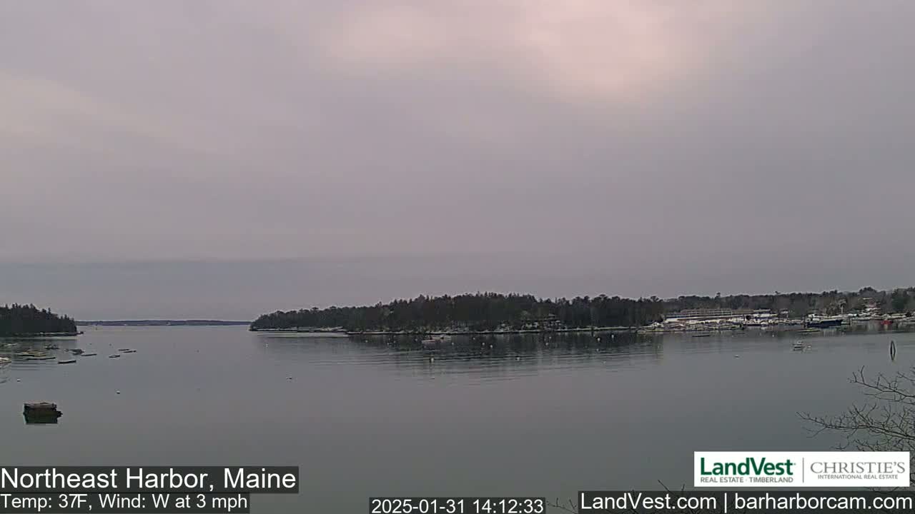 A calm harbor with a tree-lined shore is visible under an overcast sky; the temperature is 37°F, with a westerly wind of 3 mph.